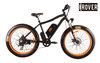 iRover US FJ-TDE07 1000W Bicycle